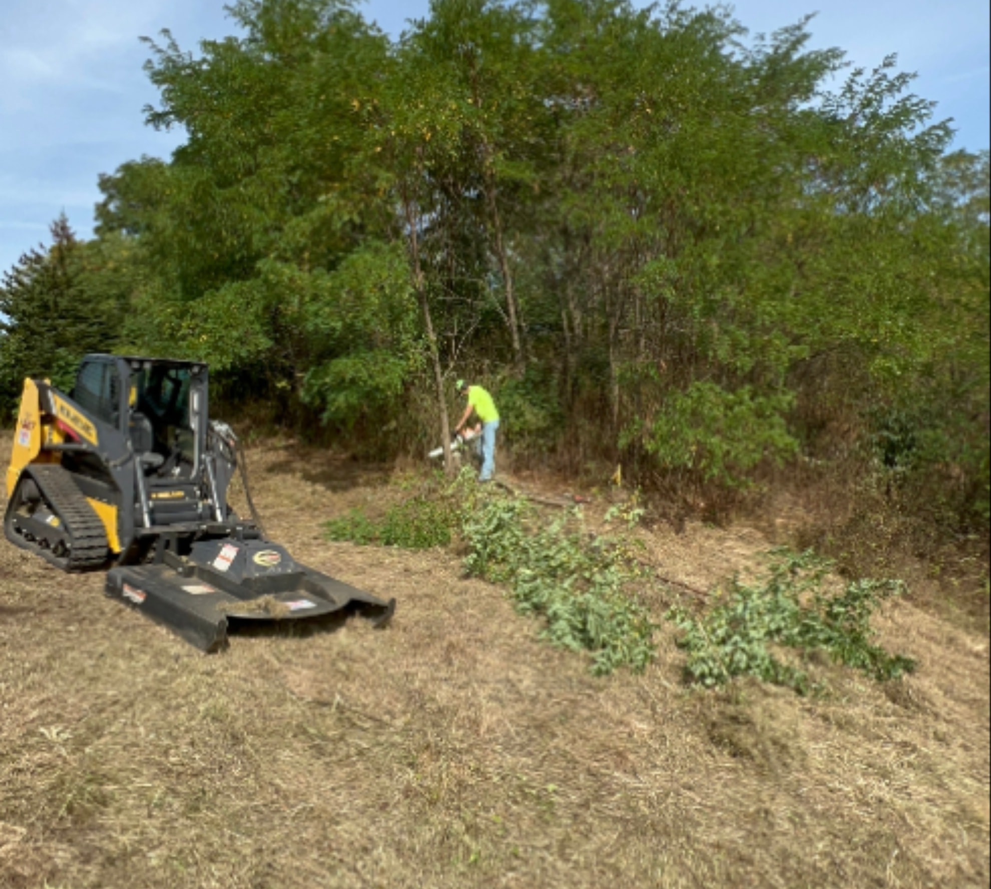 Brush Cutting / Land Management